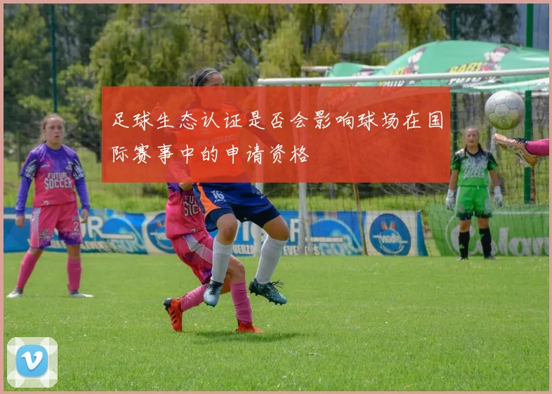 足球生态认证是否会影响球场在国际赛事中的申请资格