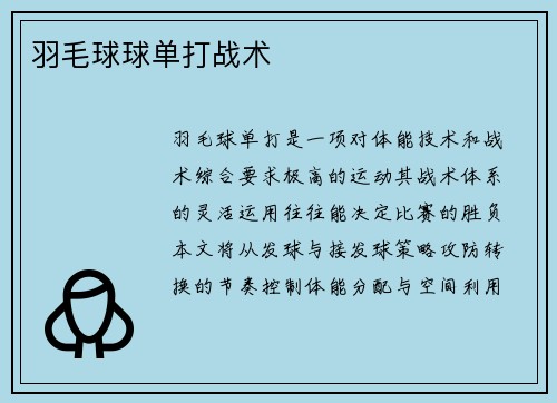 羽毛球球单打战术